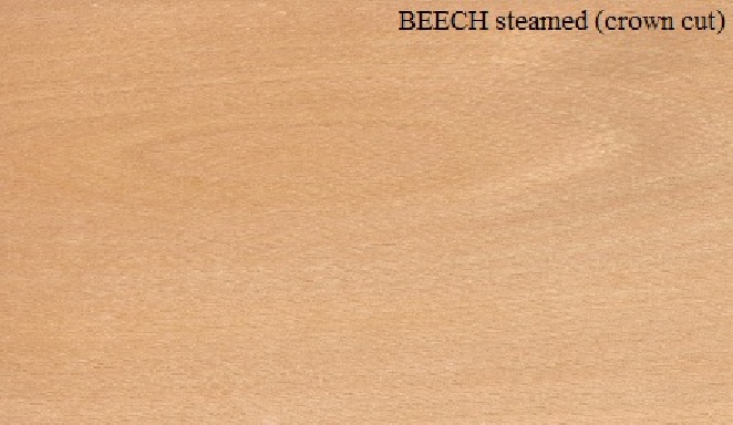 STEAMED BEECH THICK constructioanl VENEER